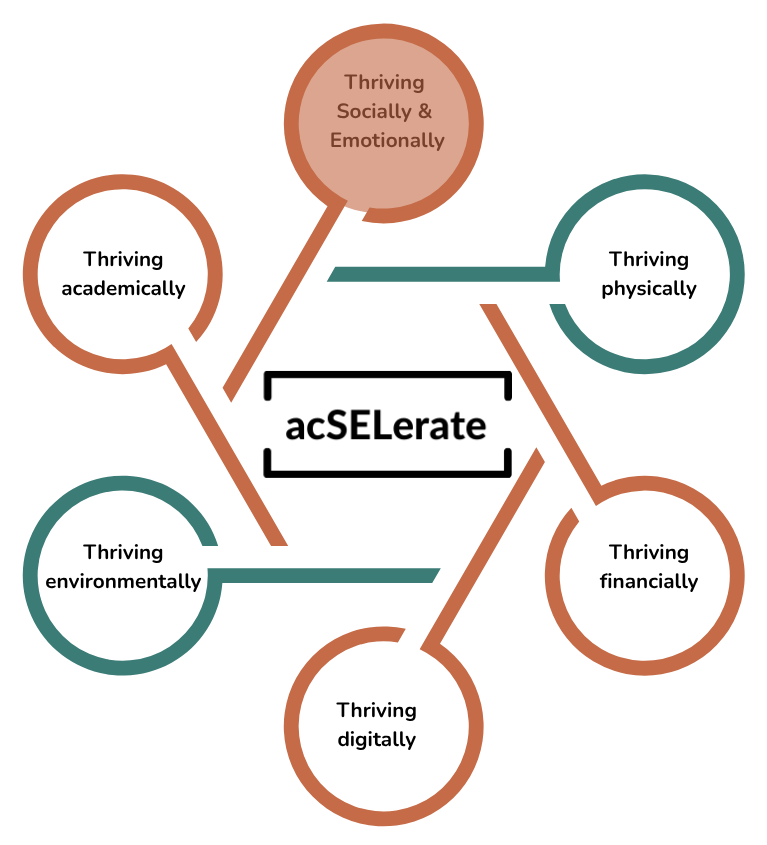 What We Do – Learning Curve Foundation